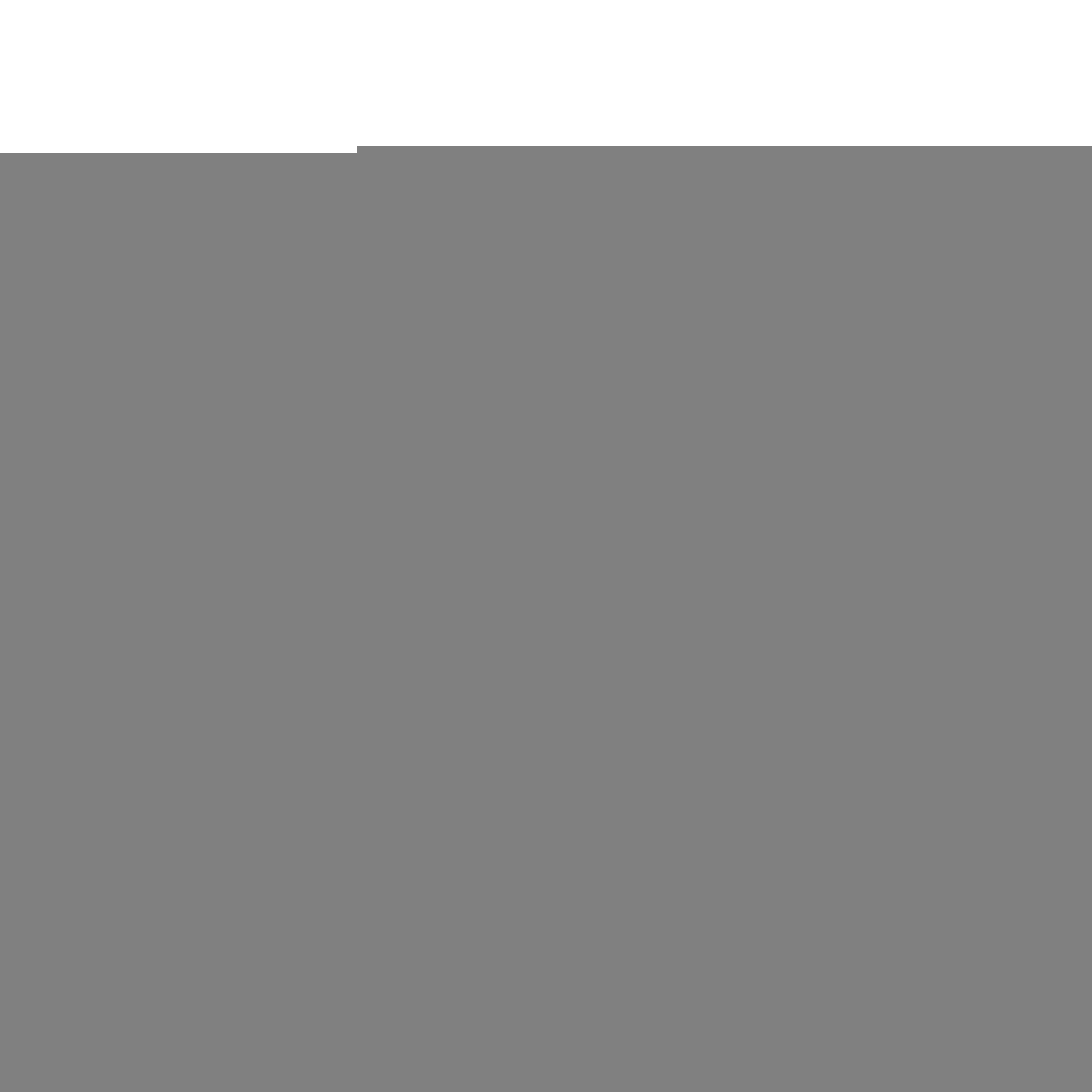 V3H8A6423904EBA1D21B90E8C4FC1631FDFR4370979P1