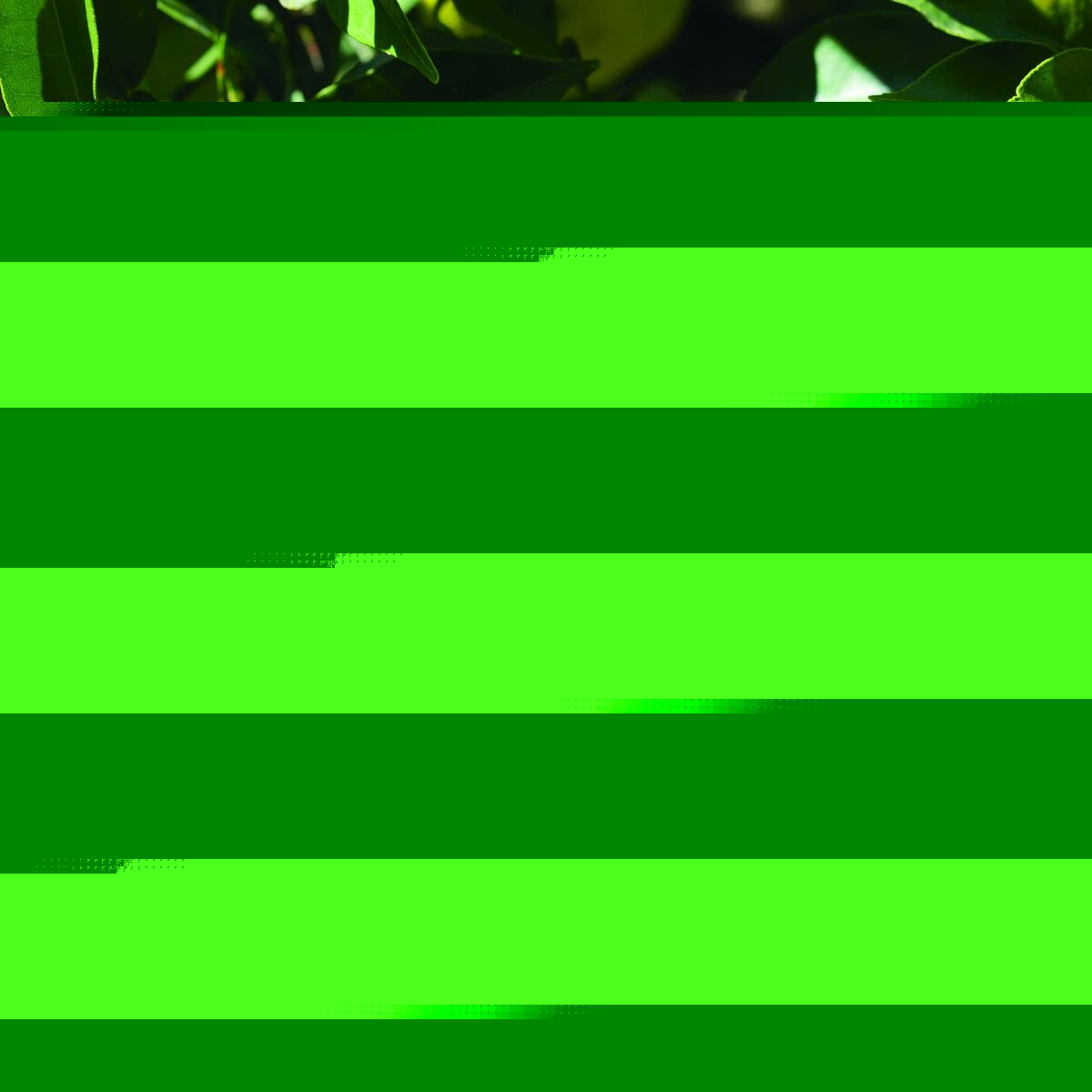 V3HF78FCFA6A6BBF5E601AEA32313A7D51ER6245959P9