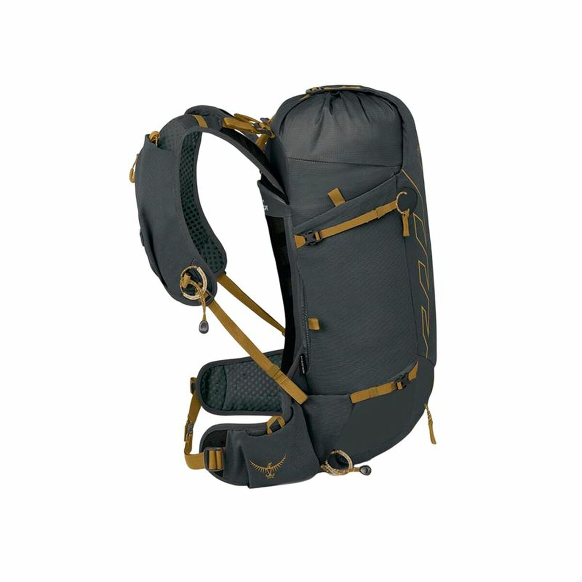 V2HF38975AA8F4F5058DE0865F8199CDE96R6624634P2