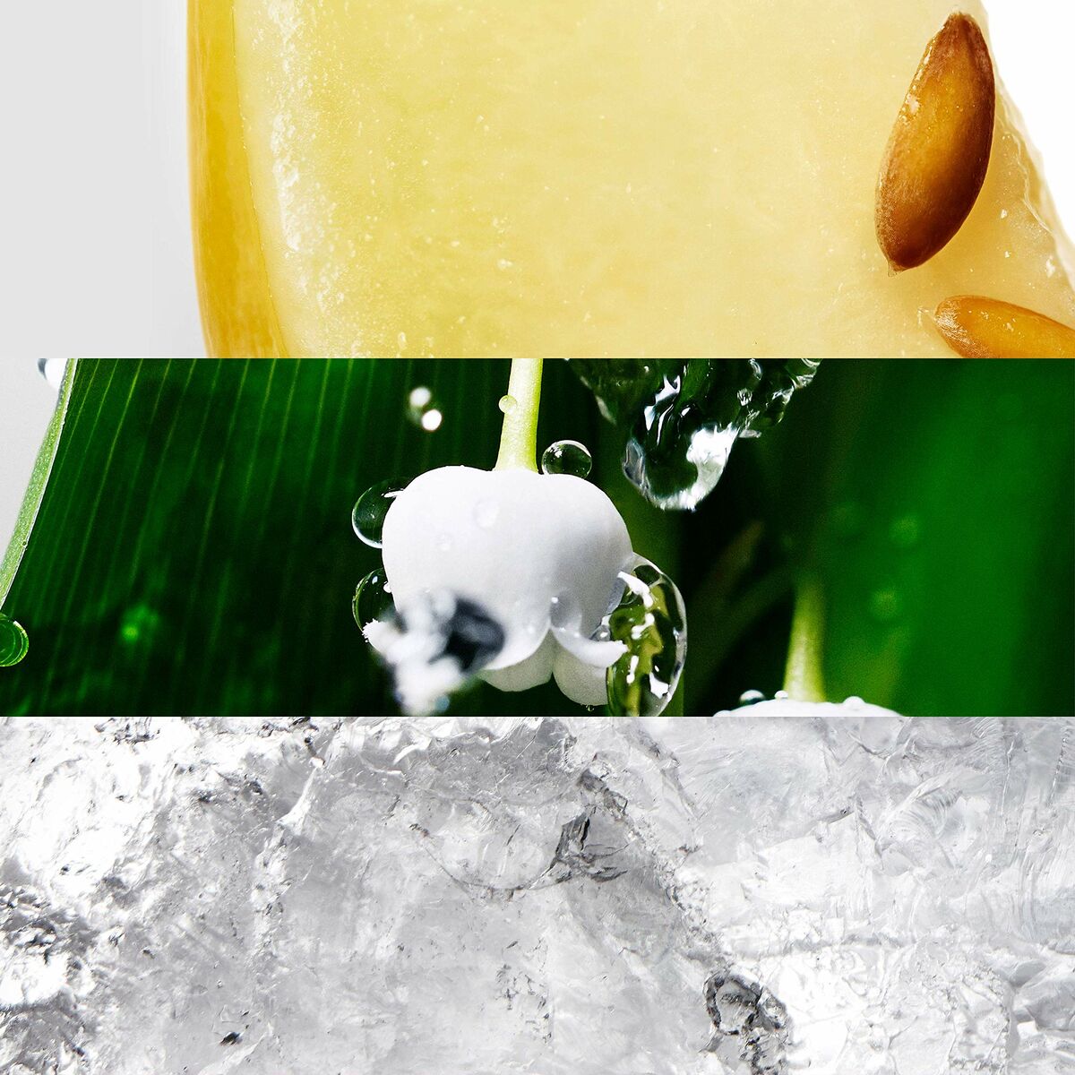 V2HFDB388FB9BDD04633EB0149E2D3C452BR5992220P10