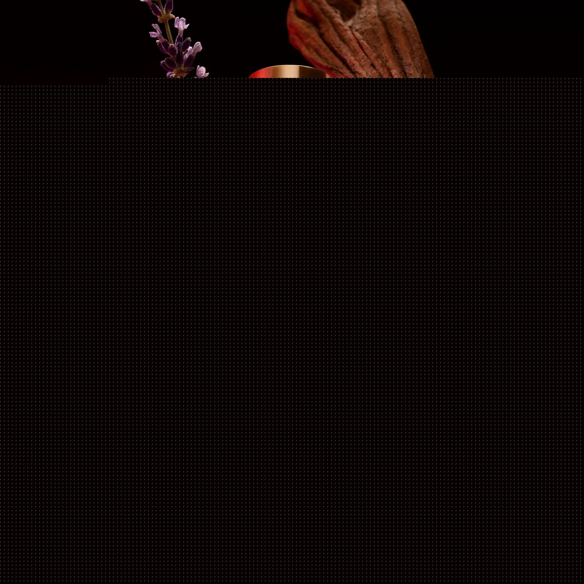 V3H17B39ED433F15361ED8D85DD55A54AE7R6240125P2