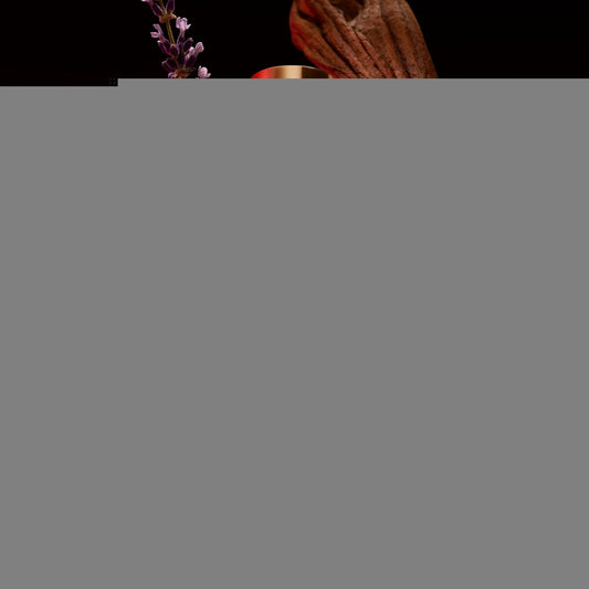 V3H17B39ED433F15361ED8D85DD55A54AE7R6240125P2