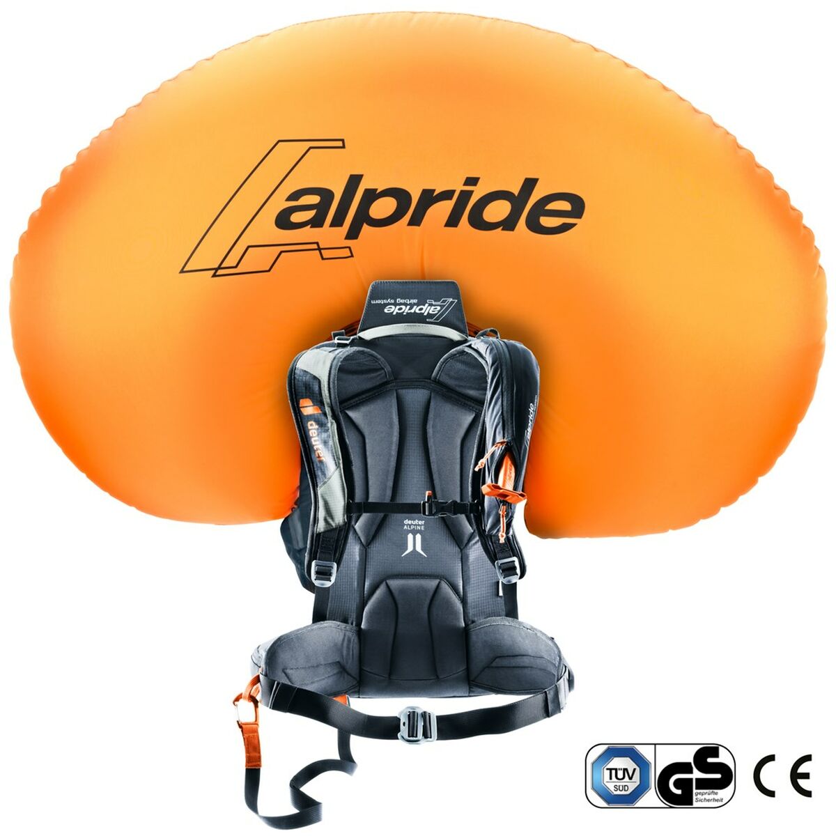 V3H07A74DEADE4D9E2BEA31DF102A130470R5117538P3