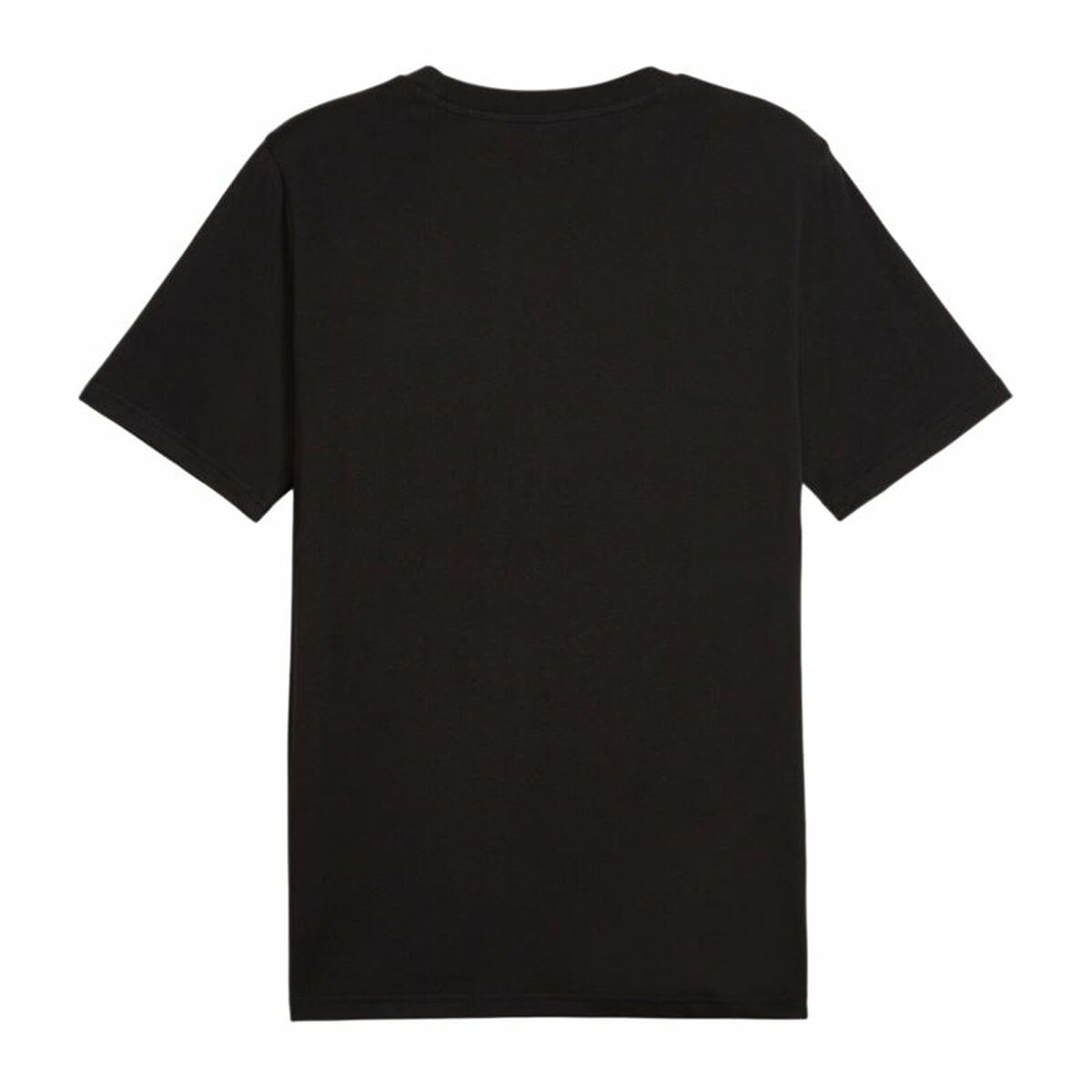 V3H0C229626D806455FAABD860DB9D6C1FDR4636149P2