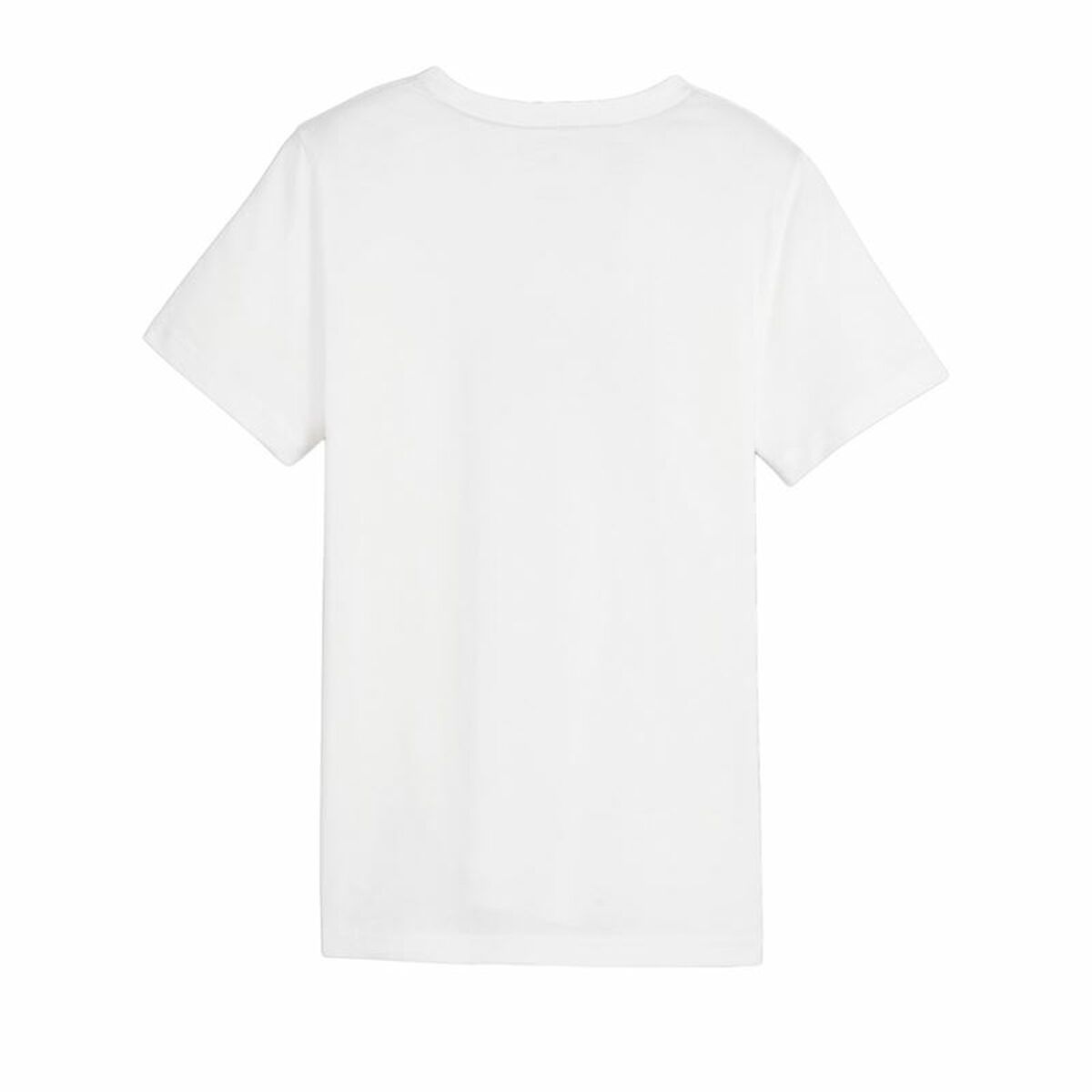 V3H479C2782F21C3C6DBA9C3E69E7A7CDAER4660883P2