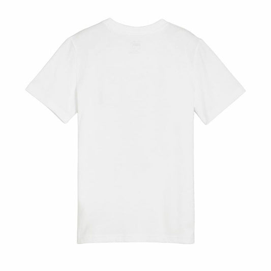 V3HF08DCF5E642C8ABF433315BA9D240993R4666837P2