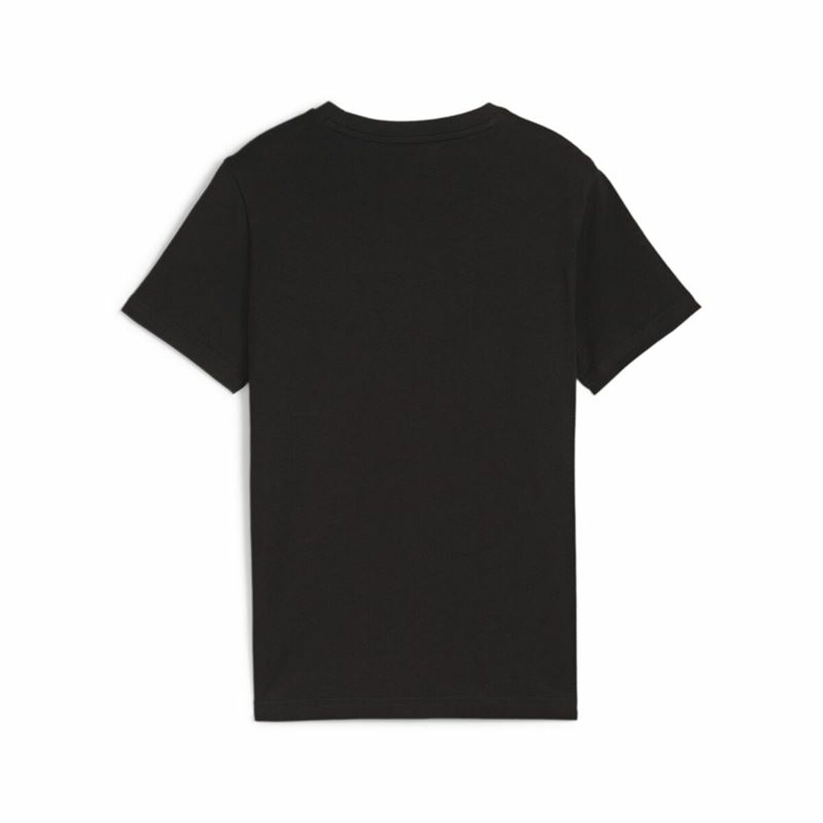 V3H536471906BE103D05E009D3FC99199A9R4666602P2