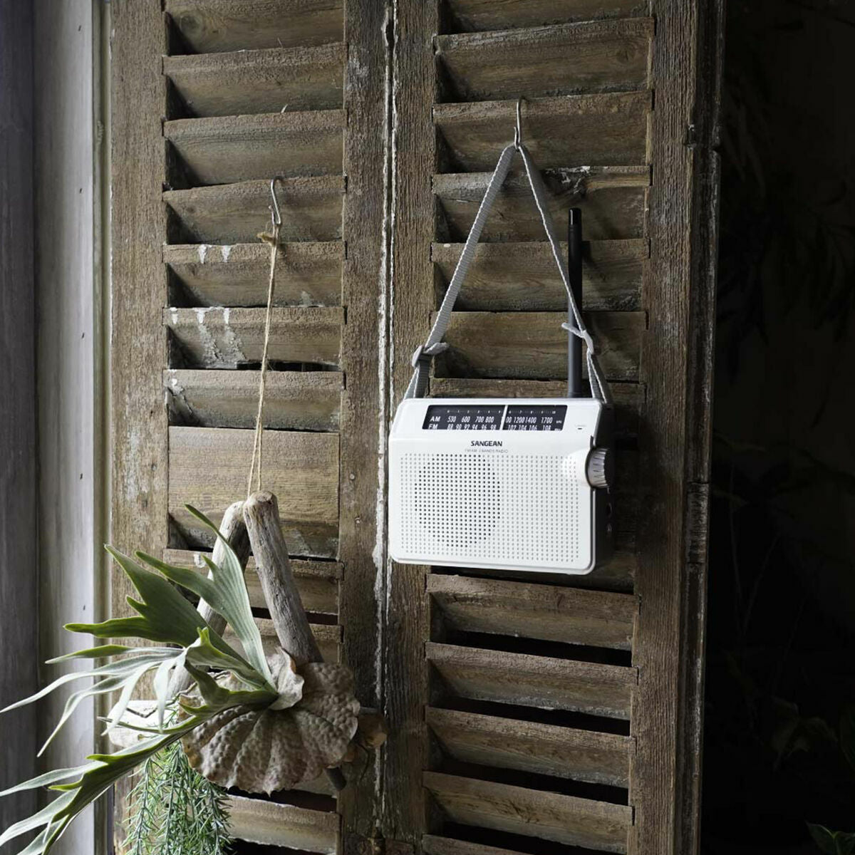 V3HB6F890526FED621EDFC0A86DDE4A463DR5854576P5