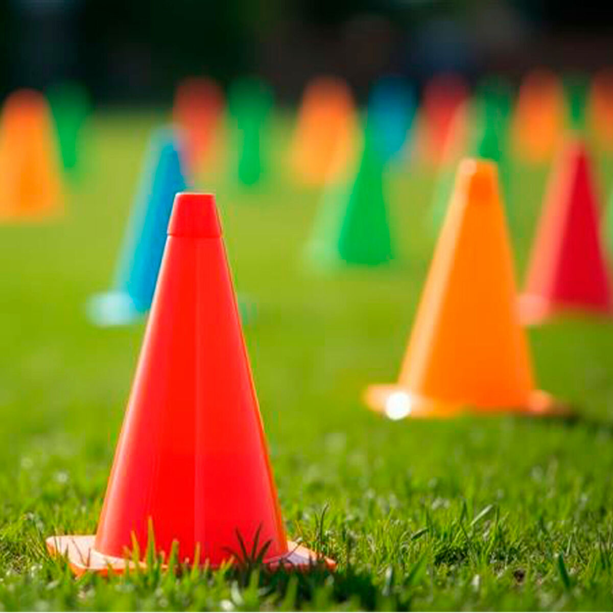 V2H73826C3EFF3AFA1444B281877D425916R5746286P4