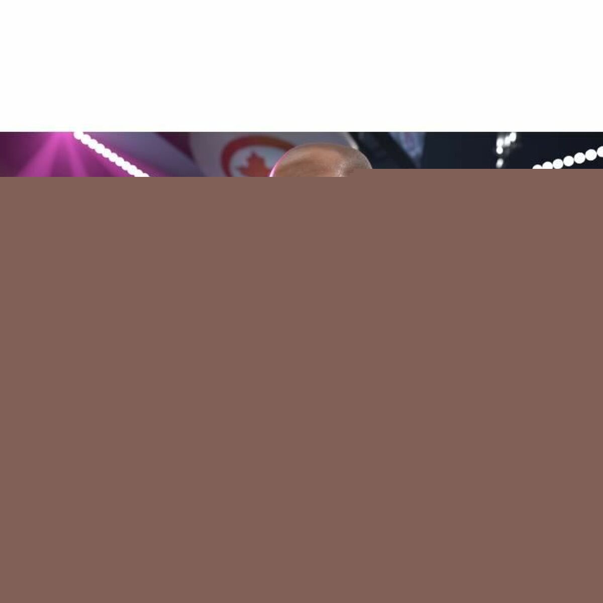 V4H5381CCFBF846C338ED1D7DF24B25DF8AR5106813P4