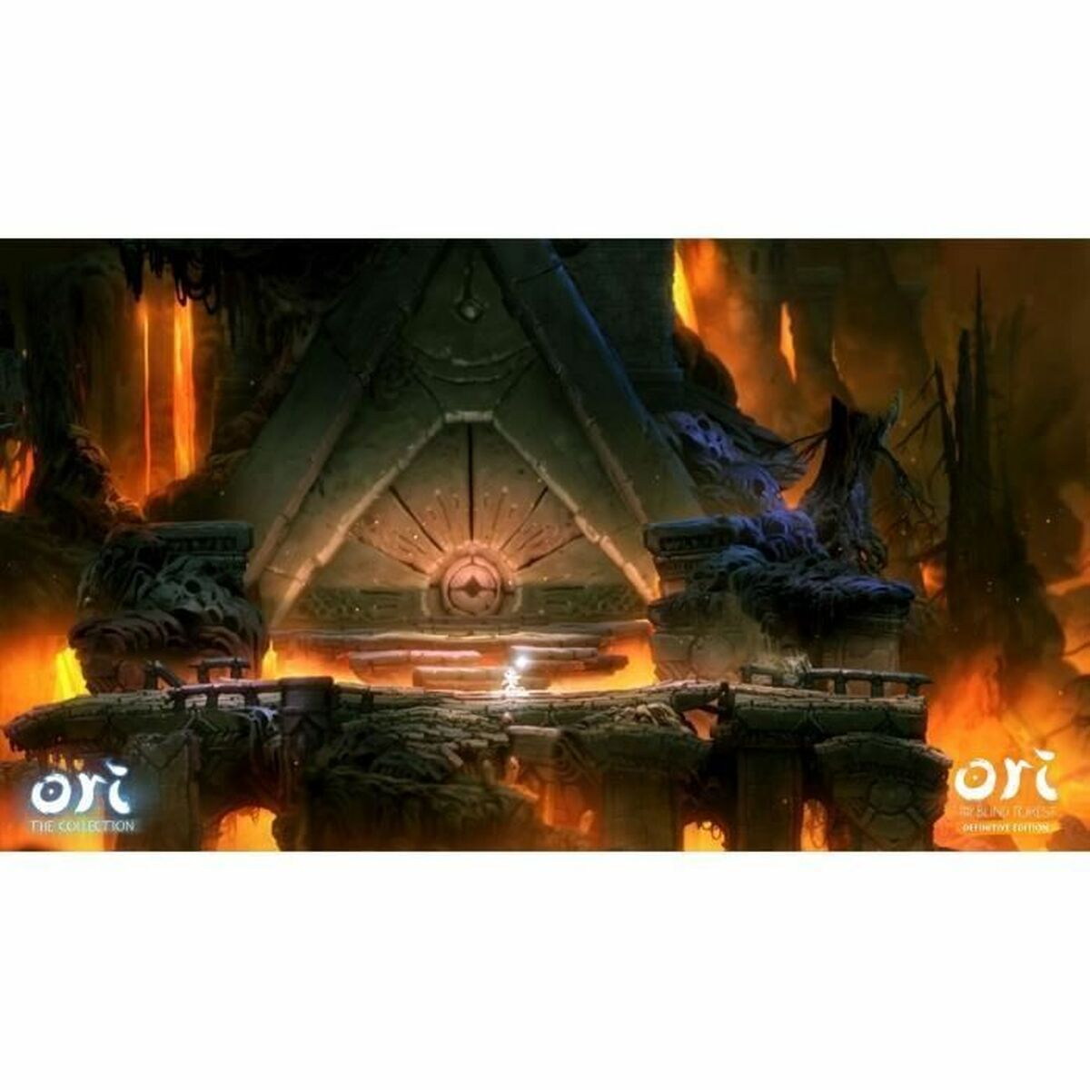 V2HD4E52722B99221A9F3E3BA205A518E8DR6704371P2