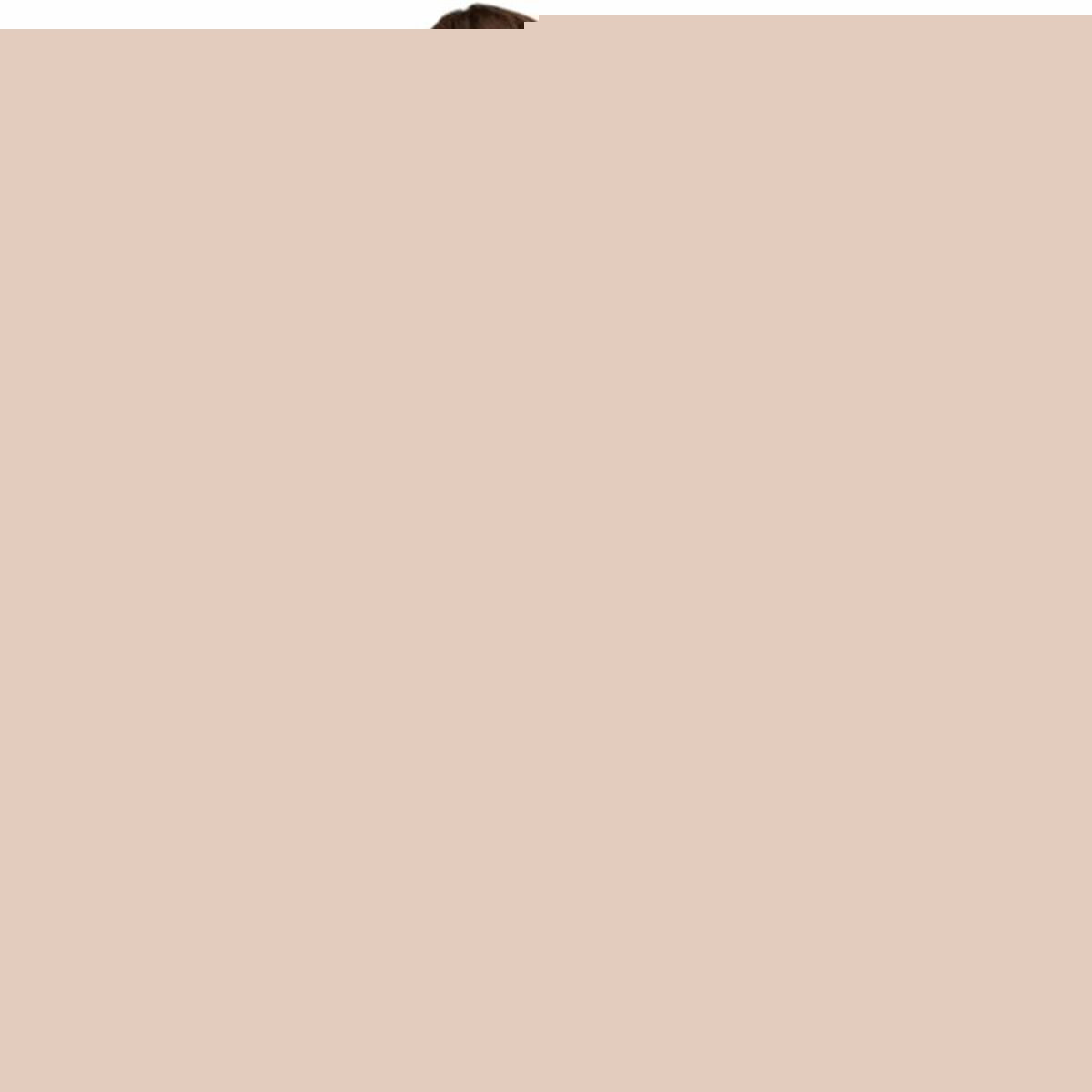 V6HEBF8A23CE87C97D6551B6E38F587549BR4748221P10