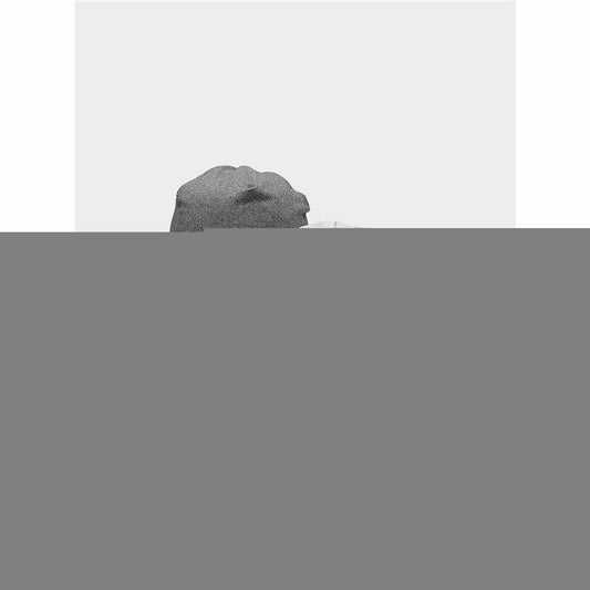 V6H1CFD1634A16F943A6E6DB29173F4CB24R3518721P2