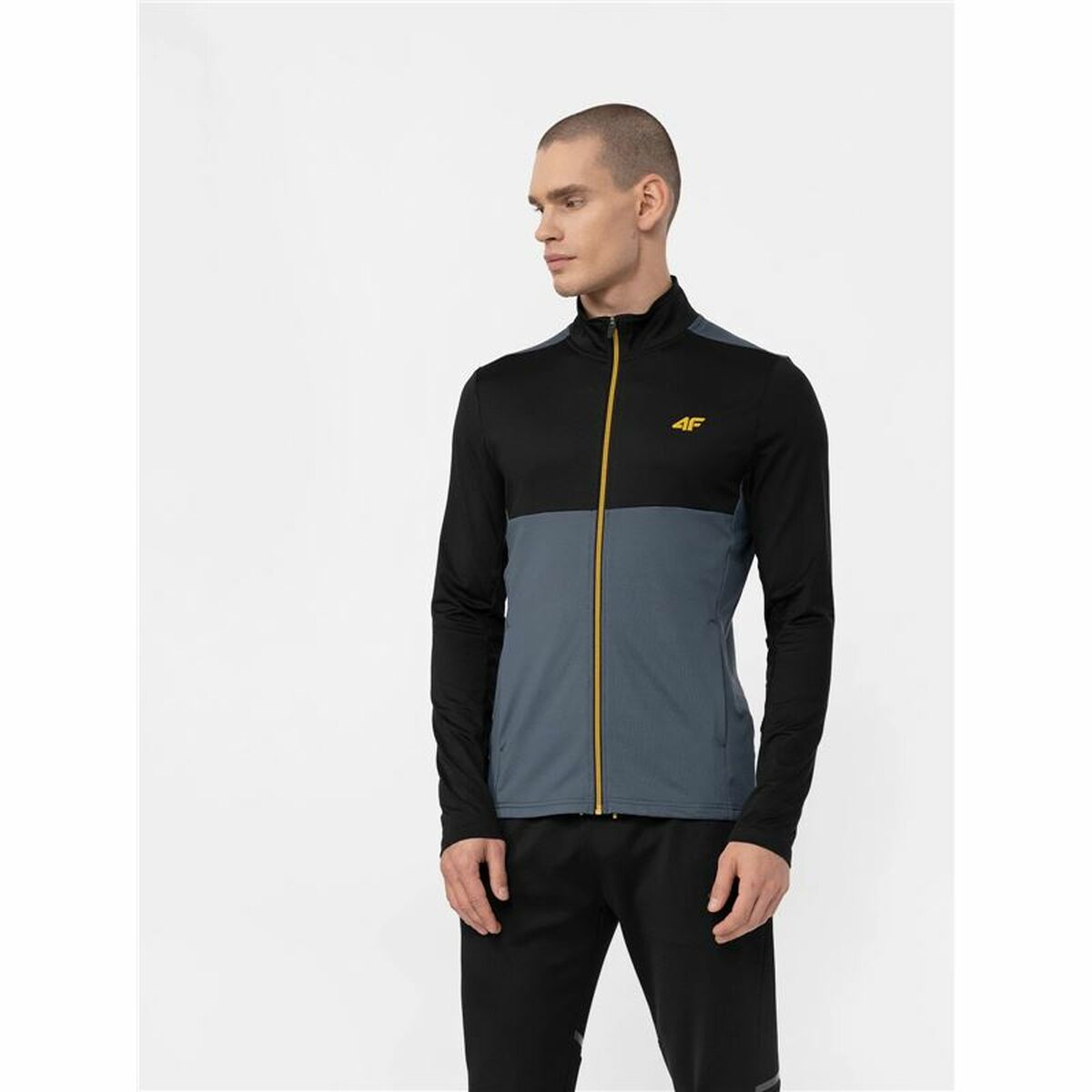 V5H0D3D4AE866F65B7AE030830564D3314DR4480473P3