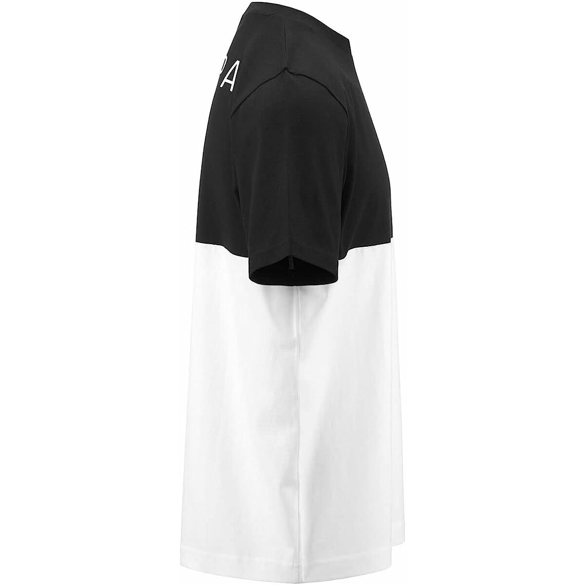 V6H36C65020692DC8C618A4C6C560ED2074R3642509P7