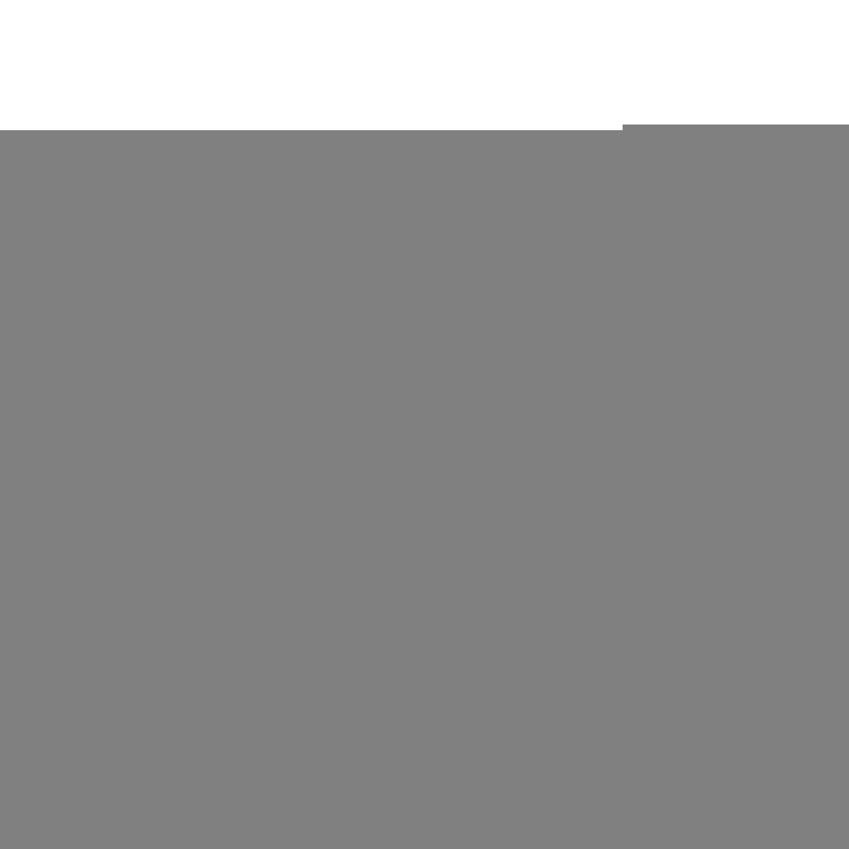 V11H07005CAB45540B38137225F5A731911AR3753746P1