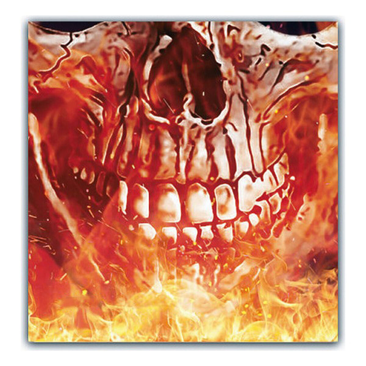 V10H05FDD1BB00568ECB30DC207F35217FB9R3171509P2