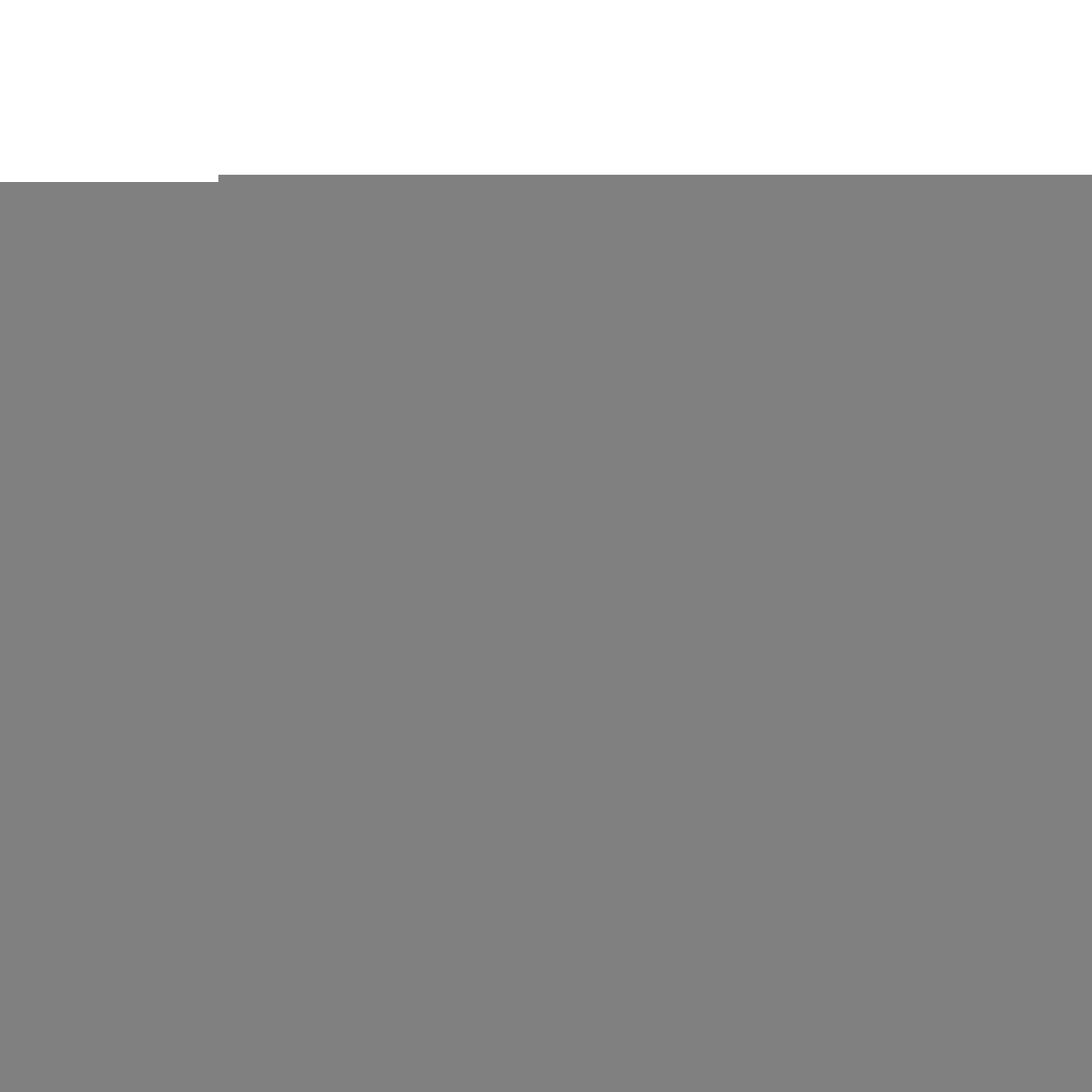 V6HE4D9FF653D7C3F8036EF0429E5064A73R5283374P2