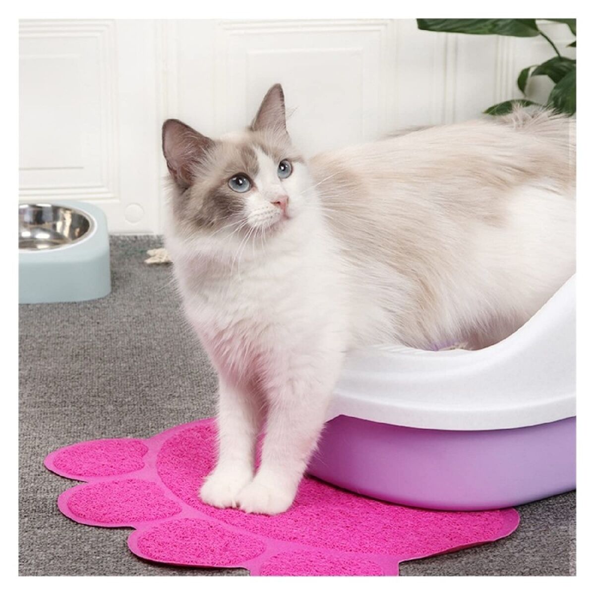 V4HC44F0925C6C25E08A9E2EBCF469387C3R5175474P3