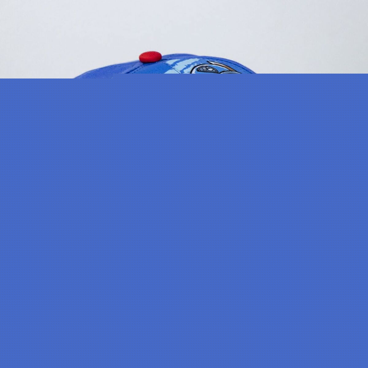 V4HDE5FDCB0DD728EAC4D4366A3323C01BBR4535771P4