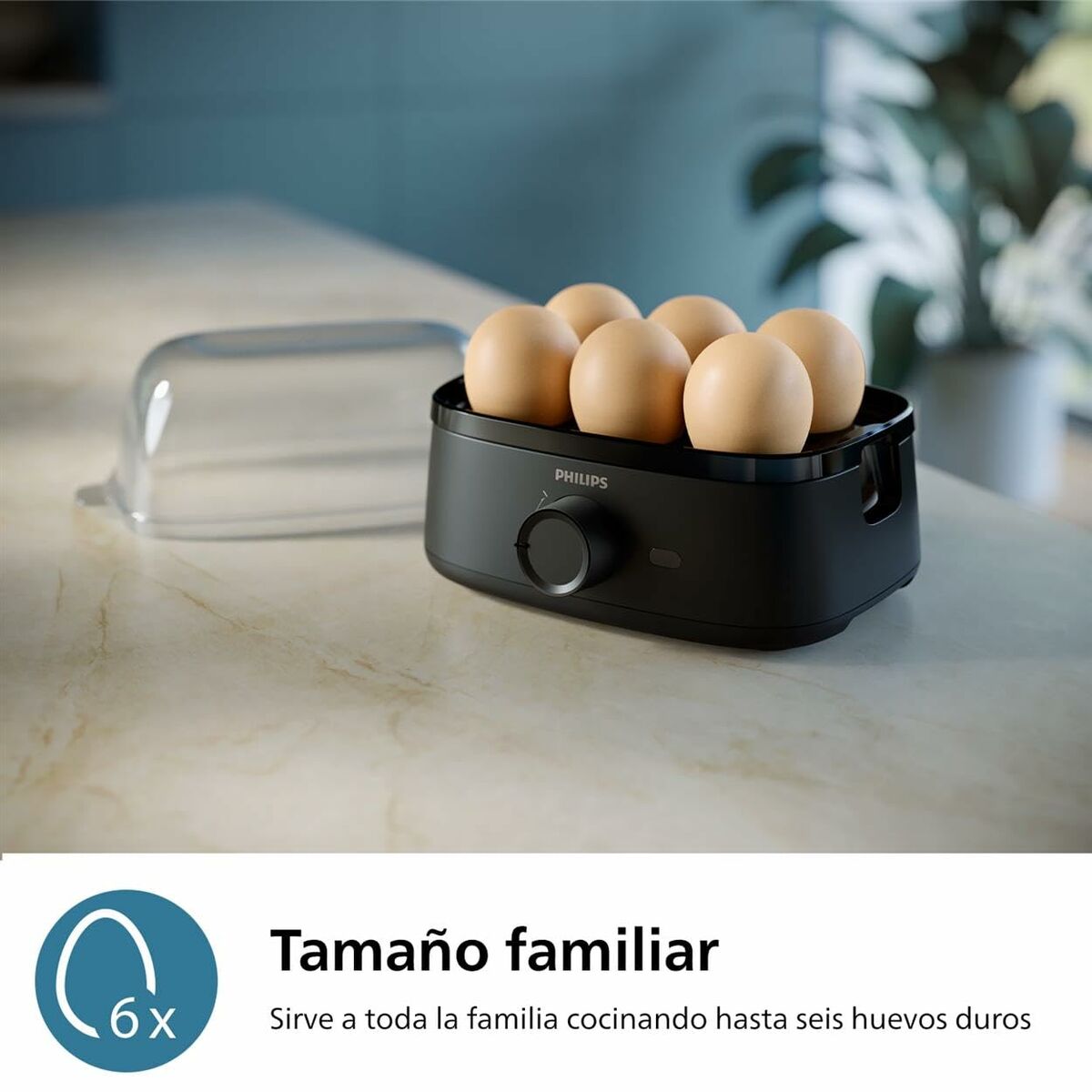 V2H729A09290C996B8CB46BAD5CC52A843BR6815252P4