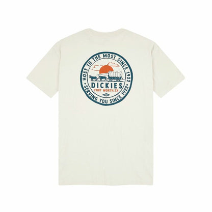 V4H3677BFEF6CC8F86A11F843665BFDA94DR3716555P4