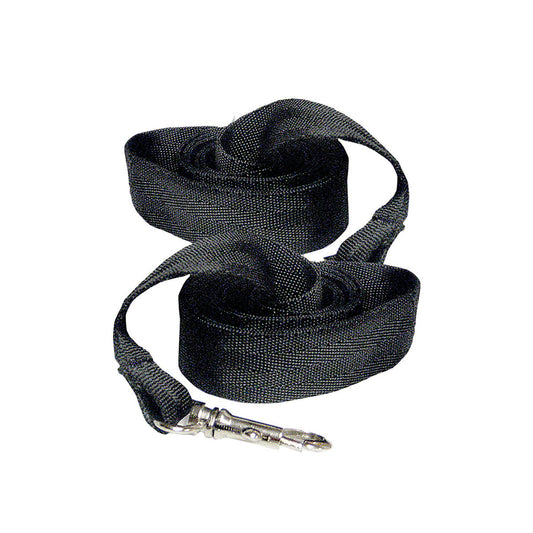 V2H7895C562C52446EF33B188124150B5C0R5596141P2