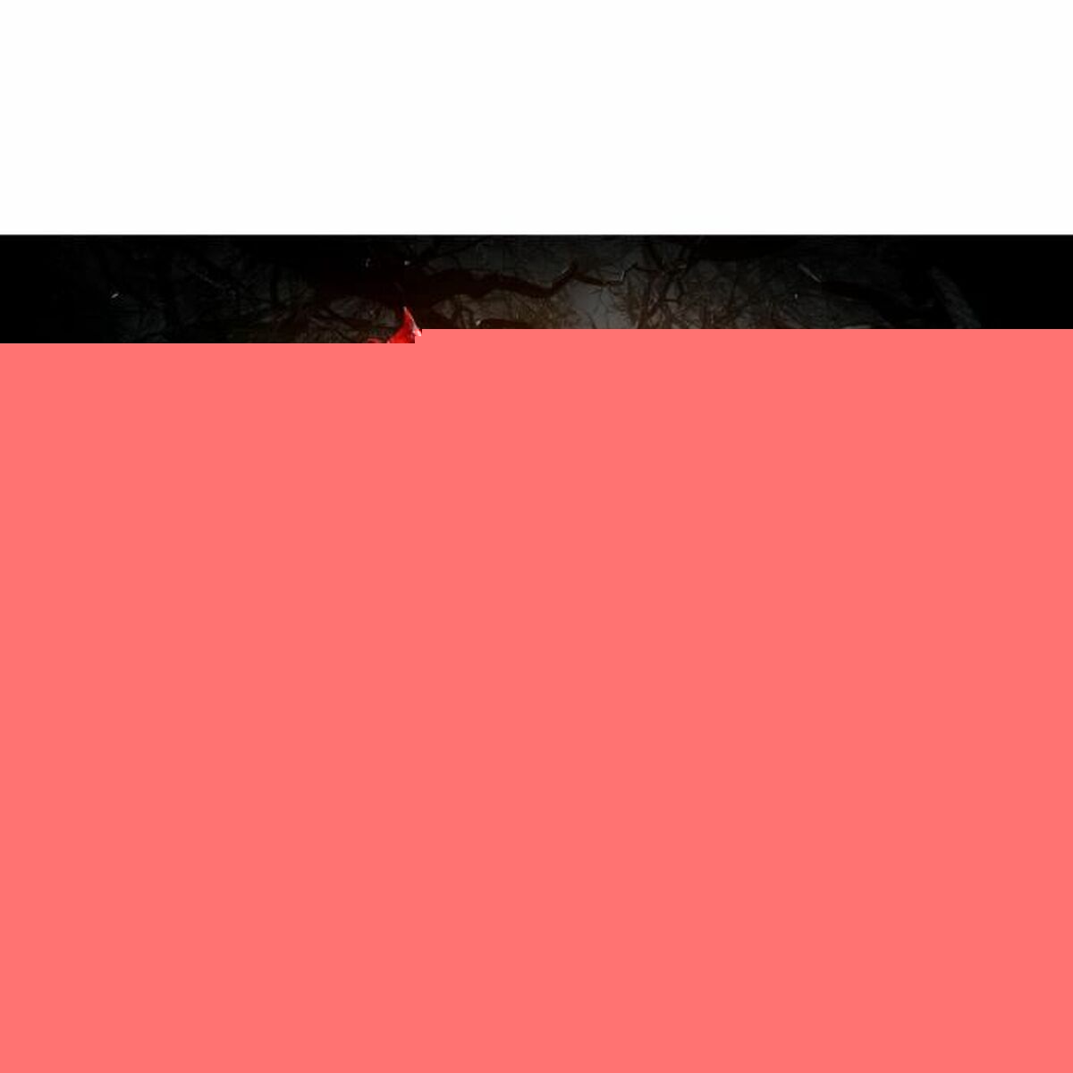 V6HDCB0BD3C89CC875E2CF0F2F14E5826C9R3750946P6