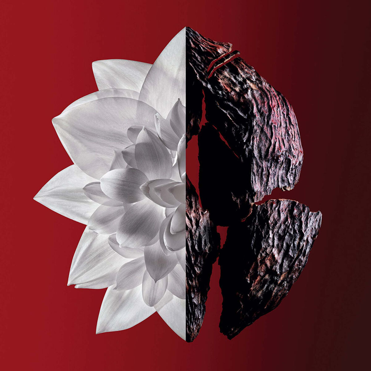 V3H6C866C5834C571583C2281598EFD1162R5306328P2