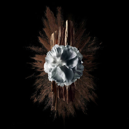 V4HD57BFFBA2AA917DD3D6BAA465CAA4794R5397790P5