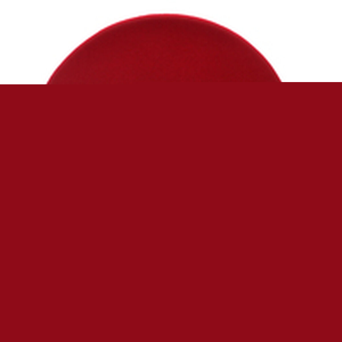 V4HE15B4C3868E6D098CB3EFFF6E1E17A4DR5486737P2