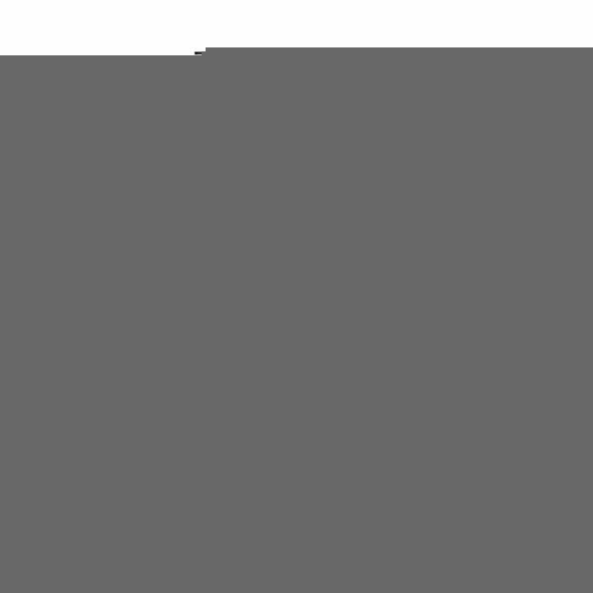 V4H3CDC22CF51893BFEC5F84399E5B6ECBBR4516206P4