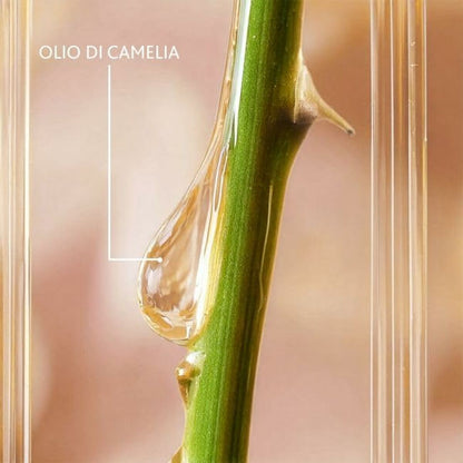 V3H85101D389947B8B428C66C68ED9659BBR5608847P2