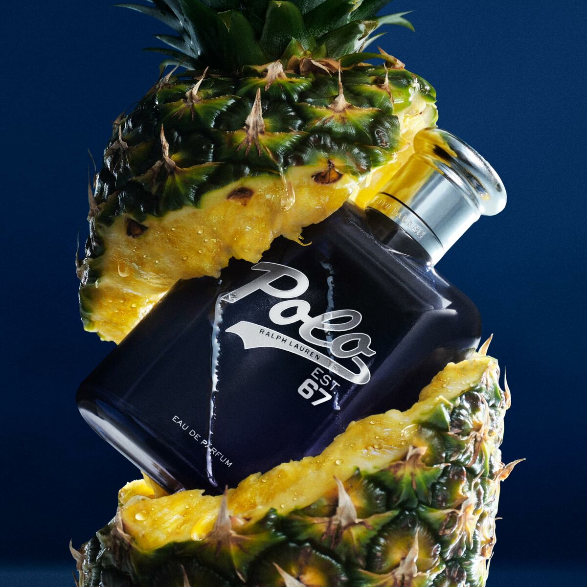 V3H2BDE9823BC3F62595A4F1E8EE5DB4756R6241481P6