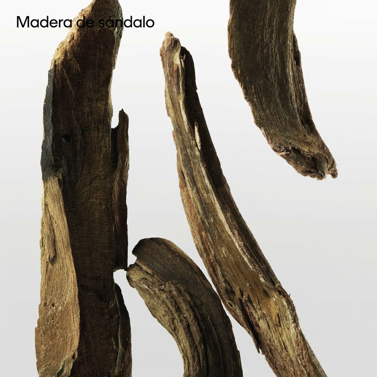 V3HA451631FE9227BB0A437E6188A776E68R5672457P9