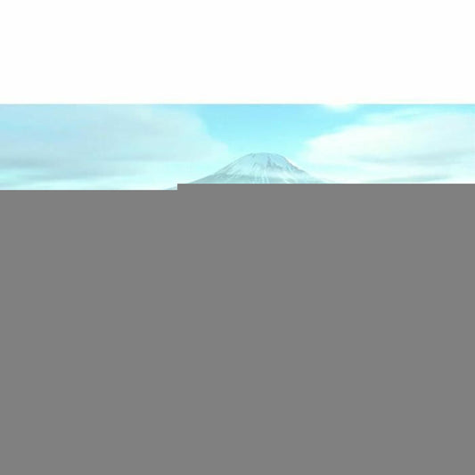 V5HFB7370055FD166051DA6801934265B52R3245736P2