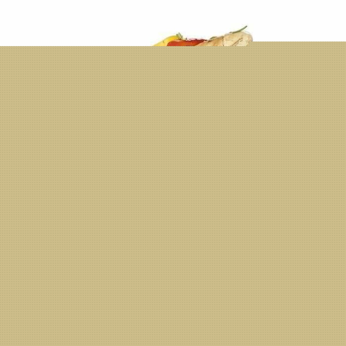 V9H8DC21690268F61216E2D1CD1AEBE0981R6283635P3