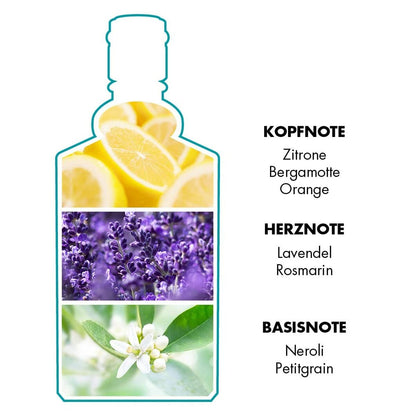 V2H32ECD005E283161C41D091DC563395FBR6116373P4