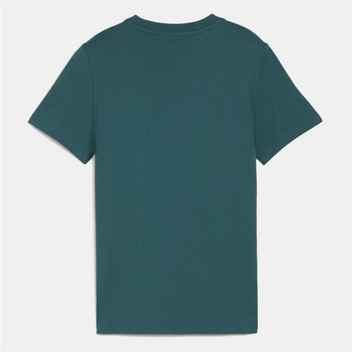 V3HEC2376A11B02674312B137093891BF91R5464314P2