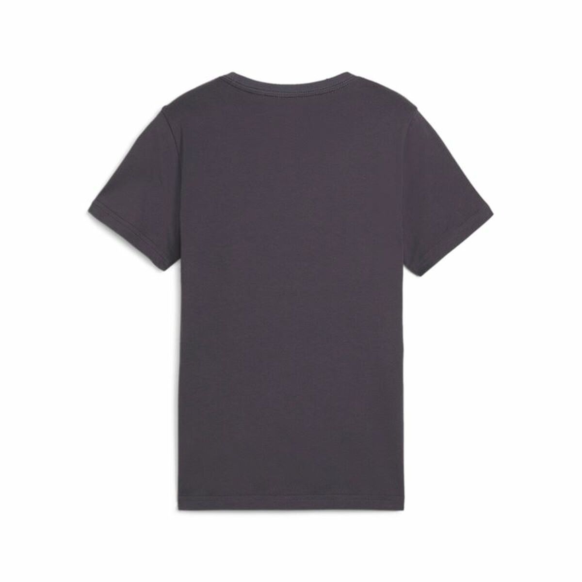 V3HFF9630528A5B4AB929770CEACDC6BBECR5464101P2