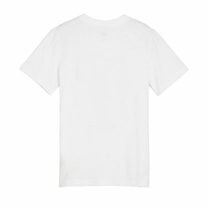 V3HF08DCF5E642C8ABF433315BA9D240993R4666837P2