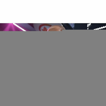 V4H5381CCFBF846C338ED1D7DF24B25DF8AR5106813P4