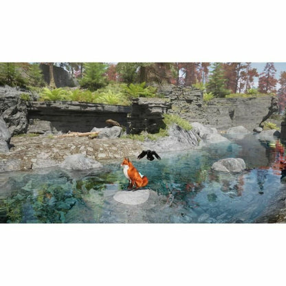 V3H66DFDE06506C1DB4512F68296FD17D92R5781047P3