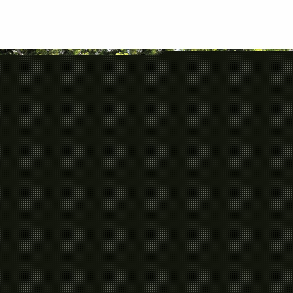 V5H1902B53D8784863A4441EAC8DACC833DR6402998P2