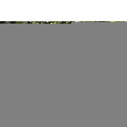 V5H1902B53D8784863A4441EAC8DACC833DR6402998P2