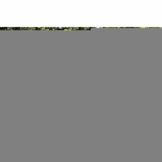 V5H1902B53D8784863A4441EAC8DACC833DR6402998P2