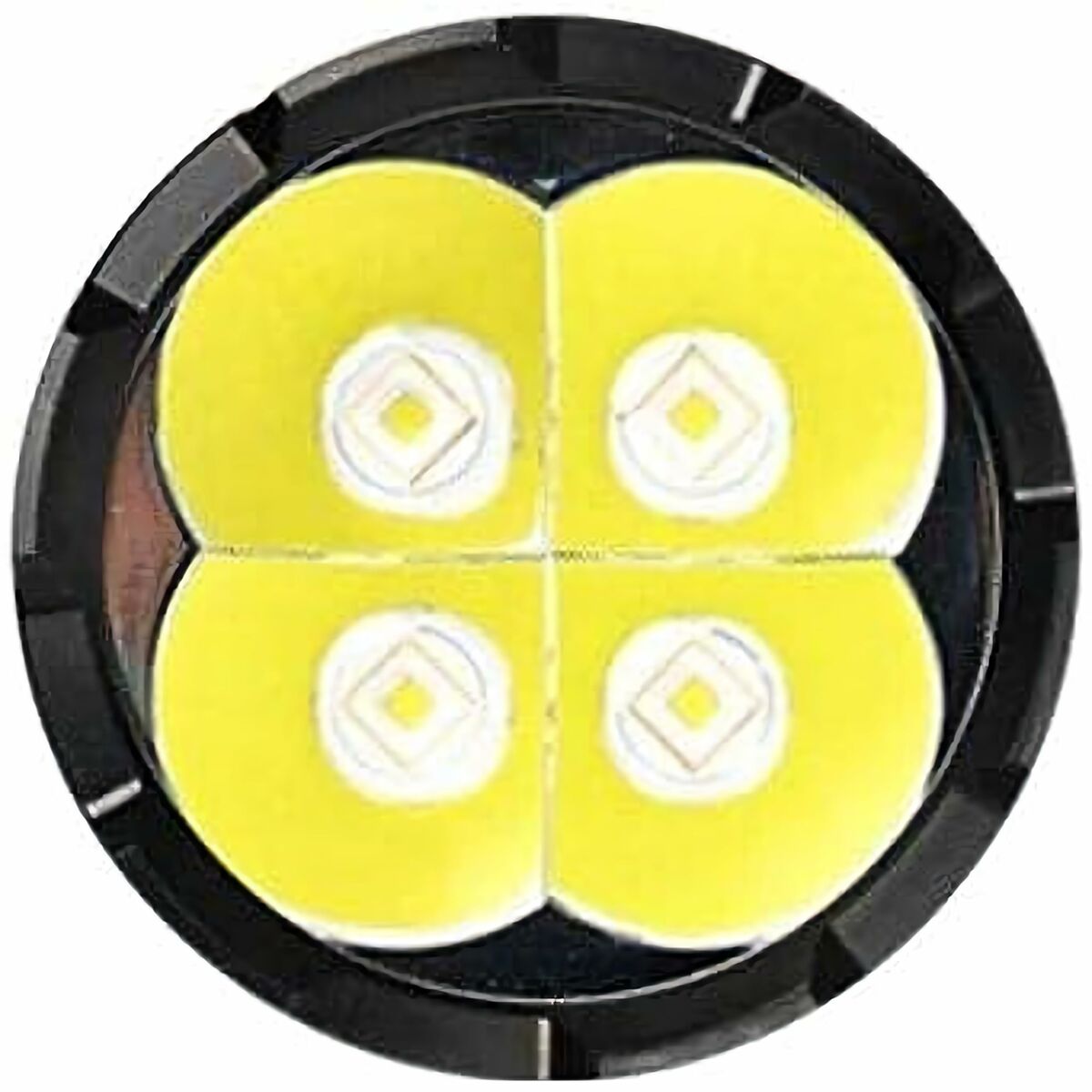 V3H019D0059B2A0B5FA4903C0441DBB6645R6238344P2