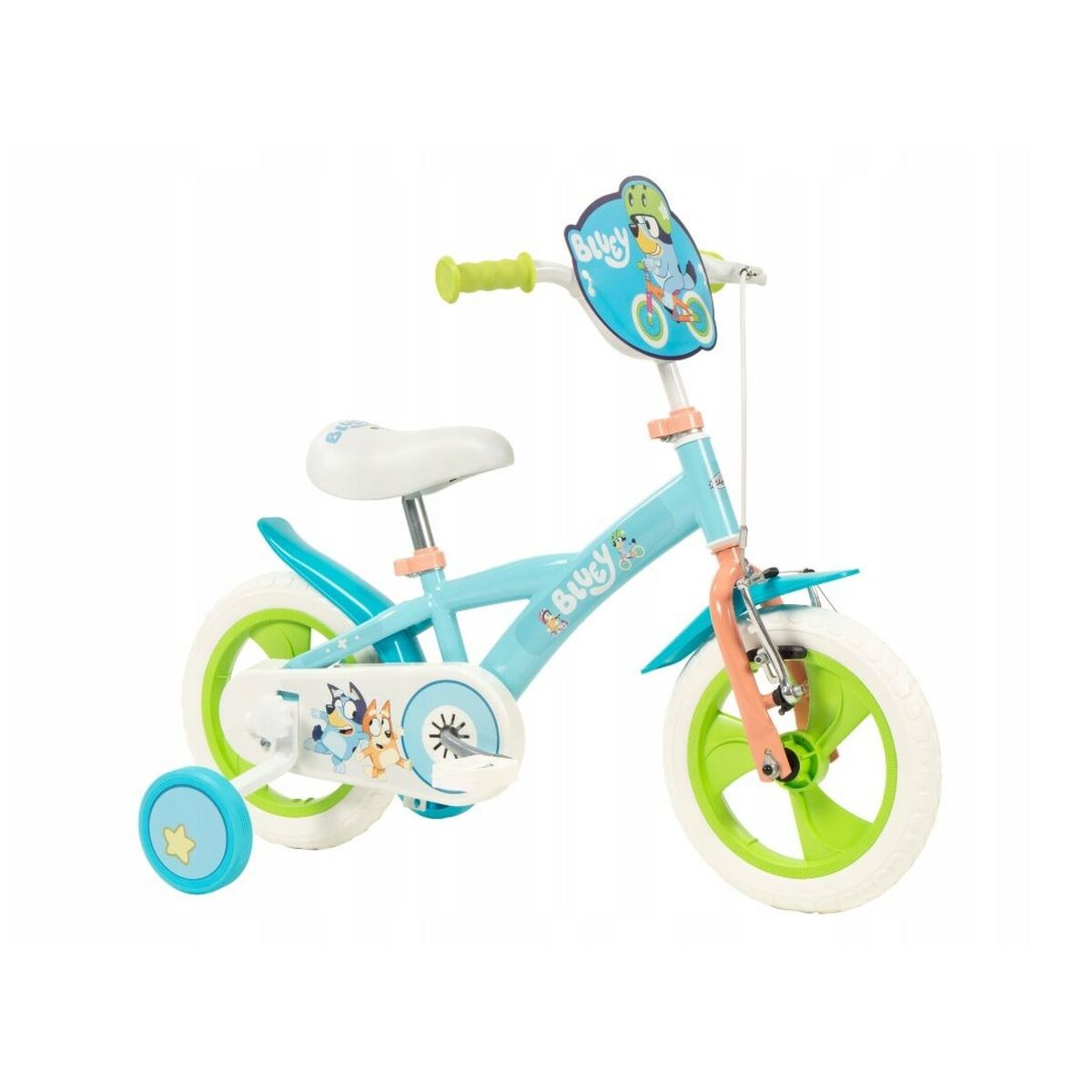 V3H43BC1E09A56906B0288355E99454F1BCR5628232P2