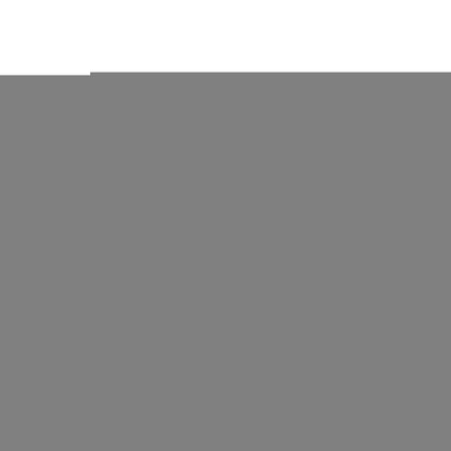 V6HE4D9FF653D7C3F8036EF0429E5064A73R5283374P2