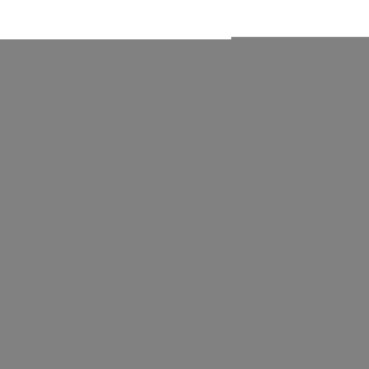 V5HD04C57F21C56E6E54A77304377EF968AR4371086P6